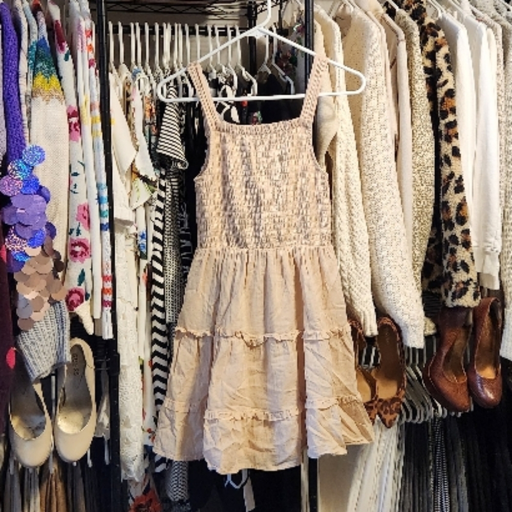 Wild Fable Dress